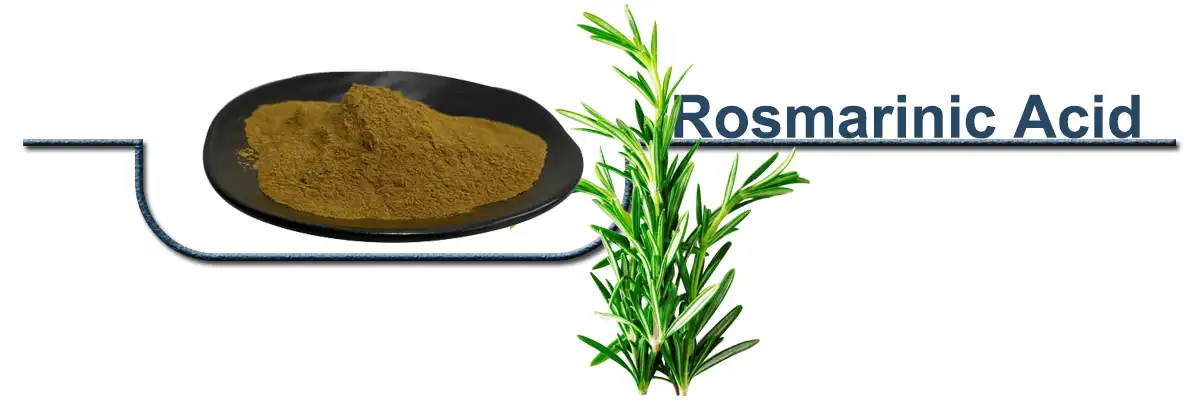 Rosmarinic Acid .jpg